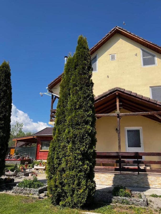 Pensiunea Colt De Rai, Vistisoara Стацьюня-Климатерикэ-Сымбэта Экстерьер фото