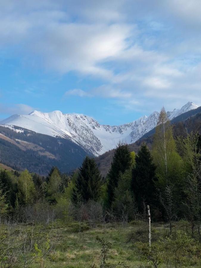 Pensiunea Colt De Rai, Vistisoara Стацьюня-Климатерикэ-Сымбэта Экстерьер фото